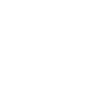 Nesans Logo